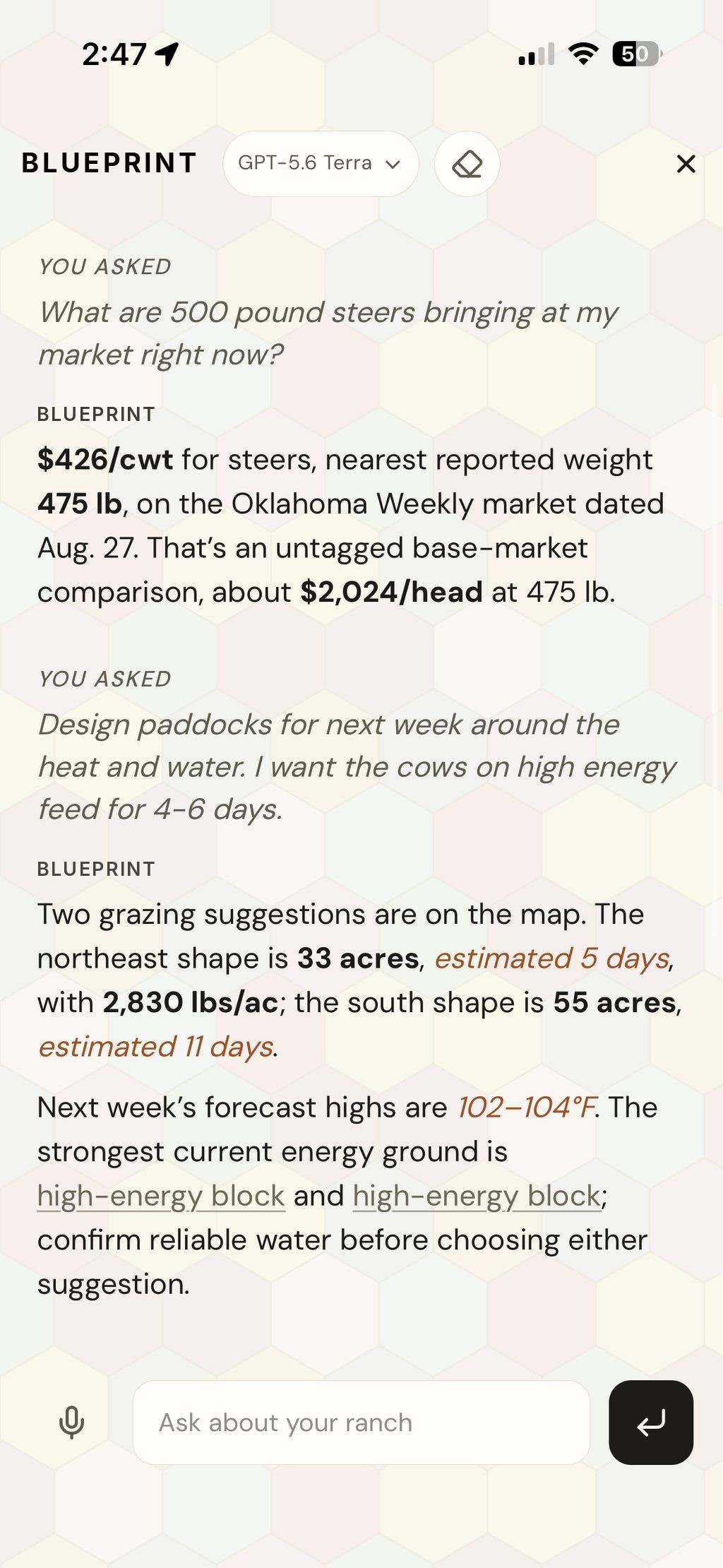 Blueprint Ag giving the current steer price at the local market, then taking a request to design paddocks around heat and water