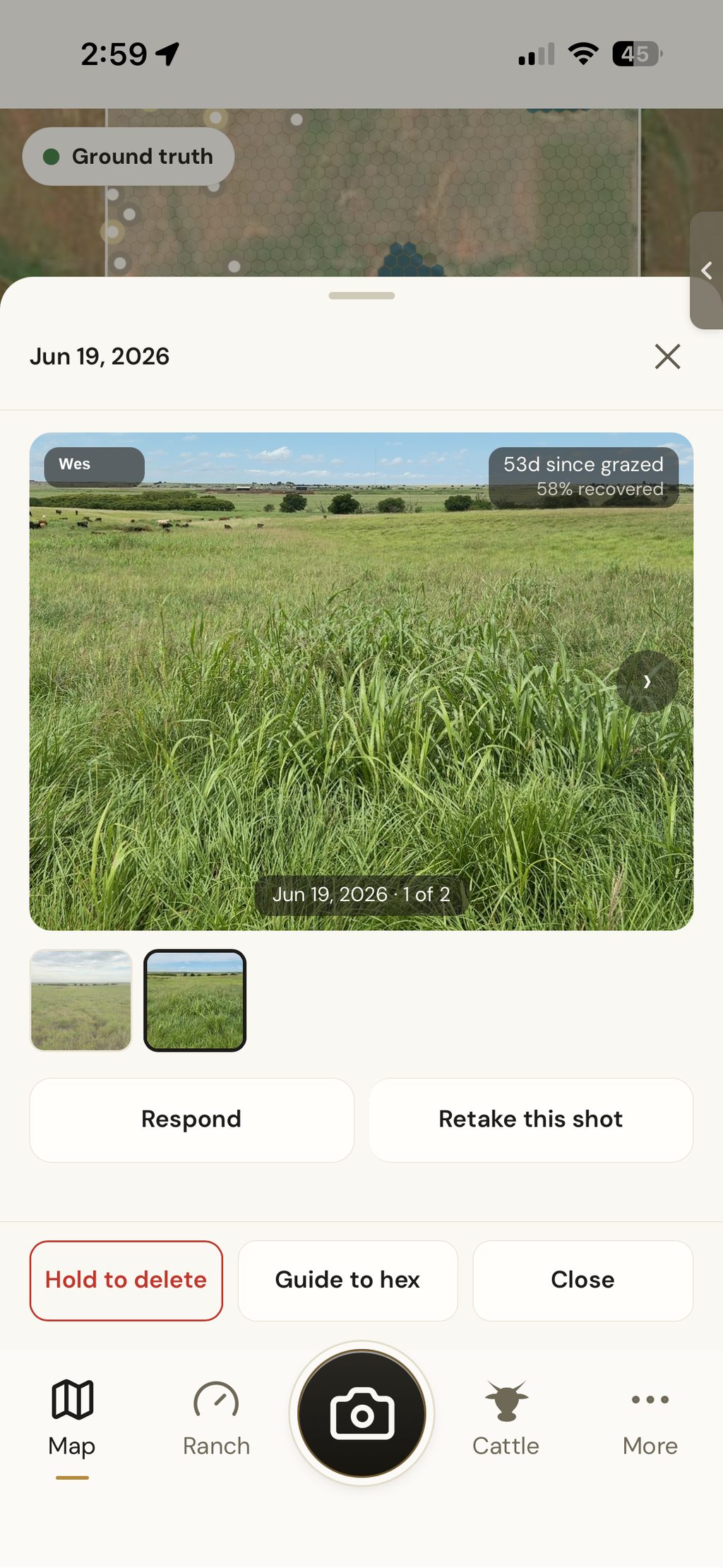 Pasture photo stamped 53 days since grazed, tall standing grass