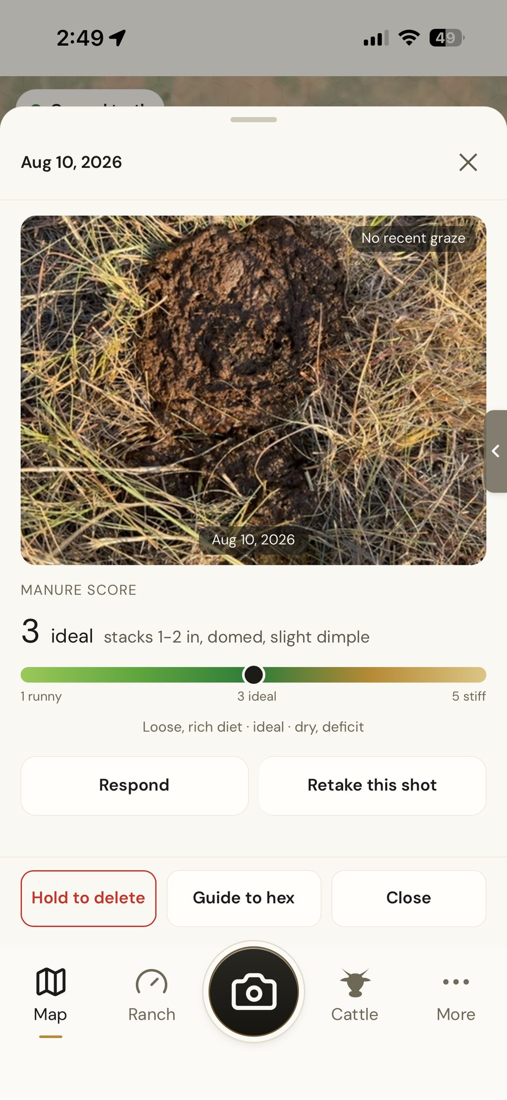 A second manure photo the next day, on the same scale