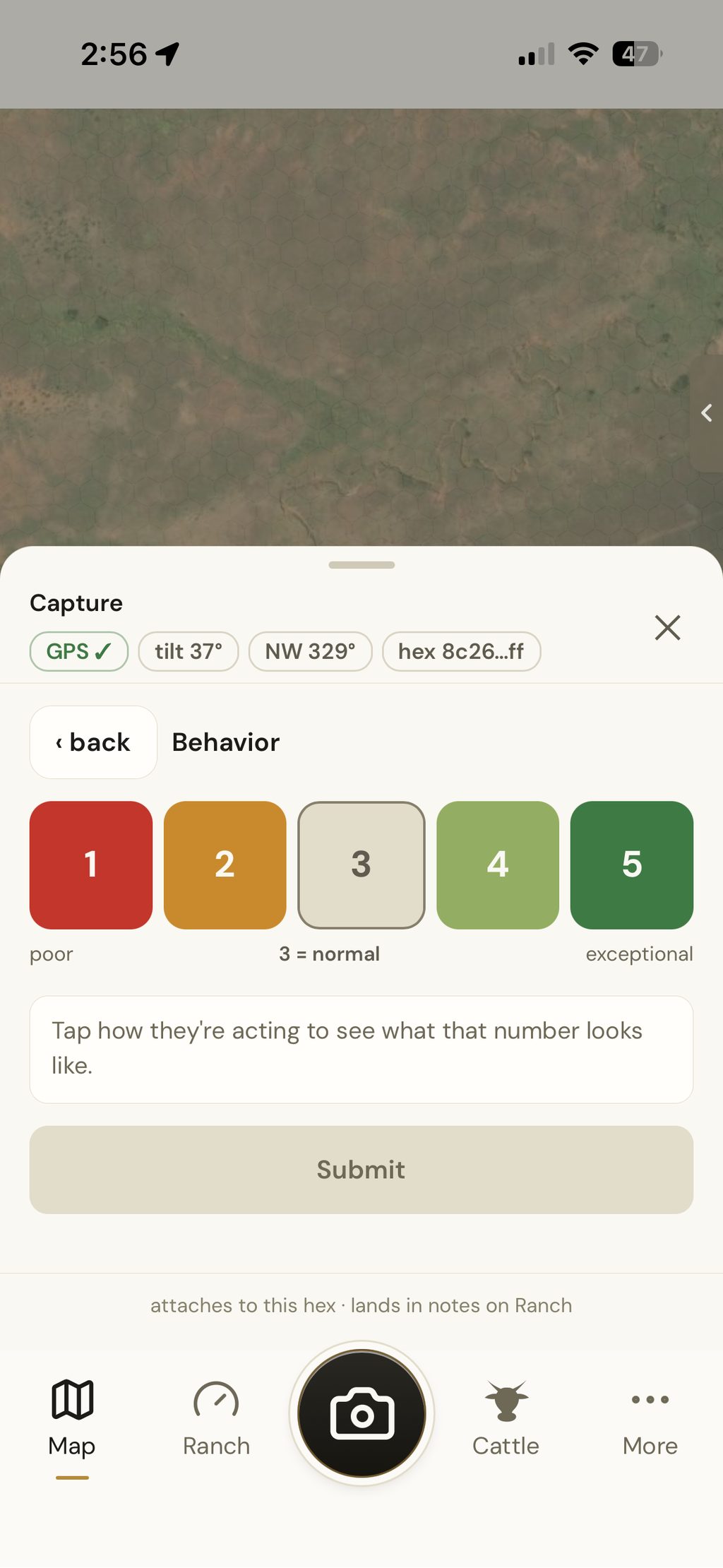 Behavior scoring screen, poor to exceptional