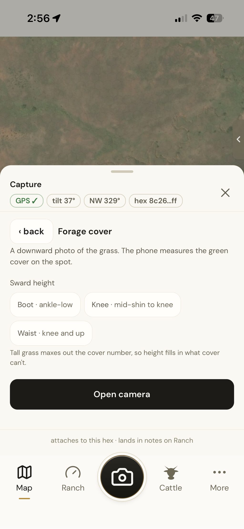 Forage capture: a downward photo, the phone measures the cover